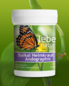 Baikal Helmkraut   Andrographis