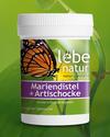 Mariendistel   Artischocke