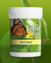 Maitake Vitalpilz BIO