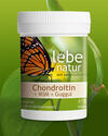 Chondroitin   MSM   Glucosamin 90er