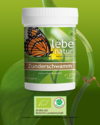 Zunderschwamm Vitalpilz BIO