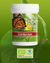 Cordyceps sinensis BIO 90er