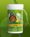 Chaga Vitalpilz BIO