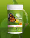 Ankaflavin   Monascin aus rotem Reis   ExoBDNF®   Anthocyane