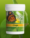 Chaga Vitalpilz BIO